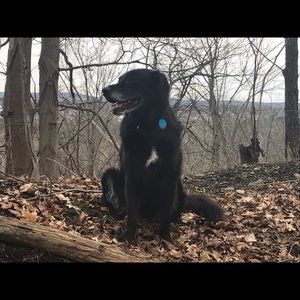 Meet your Posher, Petra